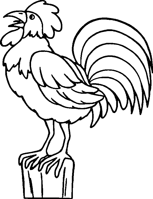 着色页: 公鸡 (动物) #4100 - 免费可打印着色页