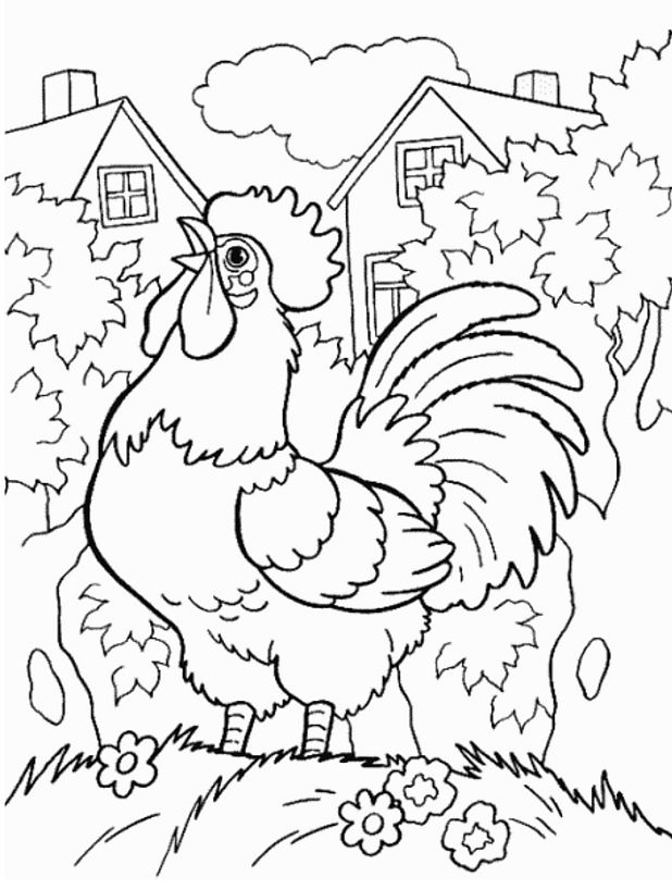 着色页: 公鸡 (动物) #4101 - 免费可打印着色页