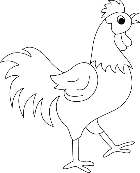 着色页: 公鸡 (动物) #4108 - 免费可打印着色页