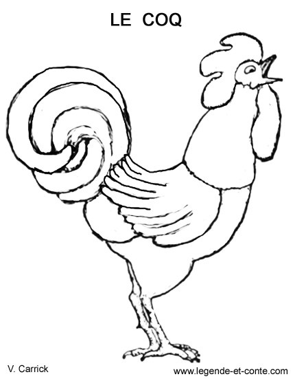 着色页: 公鸡 (动物) #4116 - 免费可打印着色页