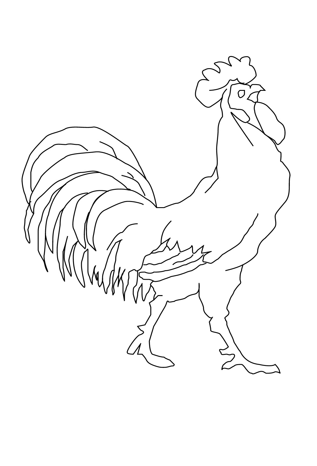 着色页: 公鸡 (动物) #4119 - 免费可打印着色页