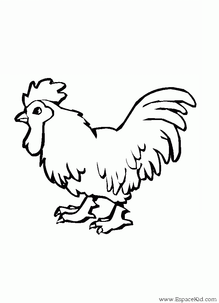 着色页: 公鸡 (动物) #4124 - 免费可打印着色页