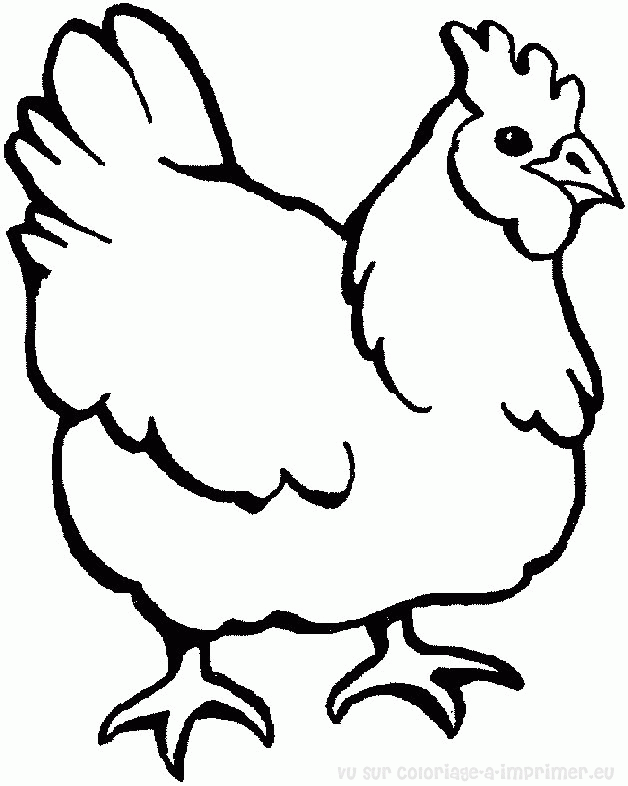 着色页: 公鸡 (动物) #4128 - 免费可打印着色页
