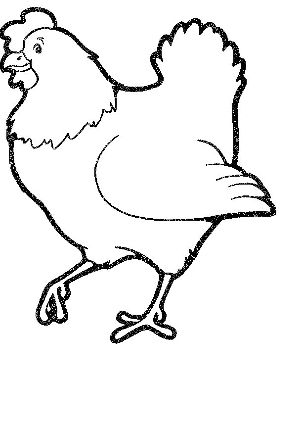 着色页: 公鸡 (动物) #4138 - 免费可打印着色页