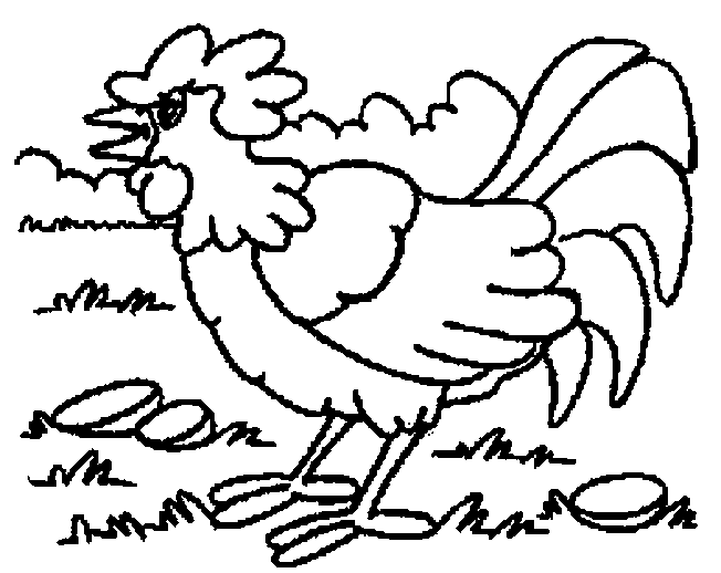 着色页: 公鸡 (动物) #4151 - 免费可打印着色页