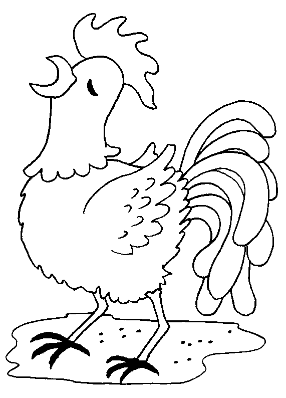 着色页: 公鸡 (动物) #4161 - 免费可打印着色页