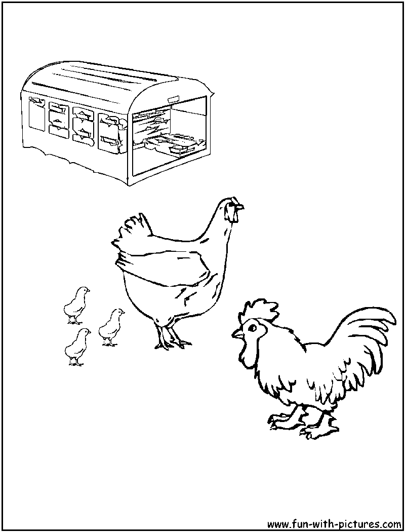 着色页: 公鸡 (动物) #4186 - 免费可打印着色页