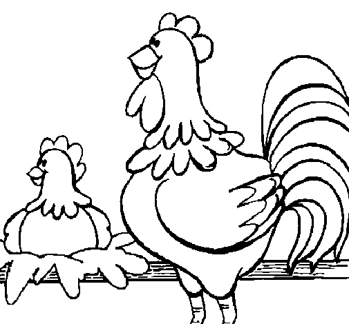 着色页: 公鸡 (动物) #4201 - 免费可打印着色页