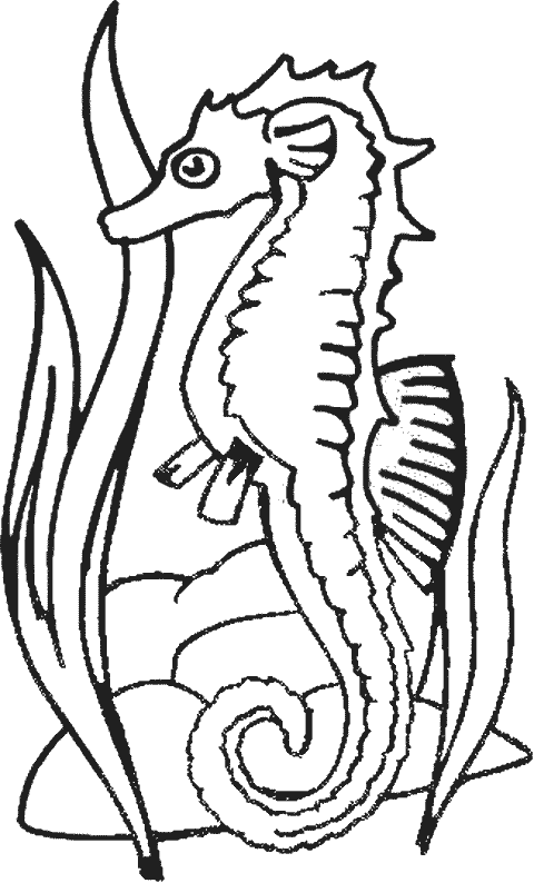 着色页: 海马 (动物) #18632 - 免费可打印着色页