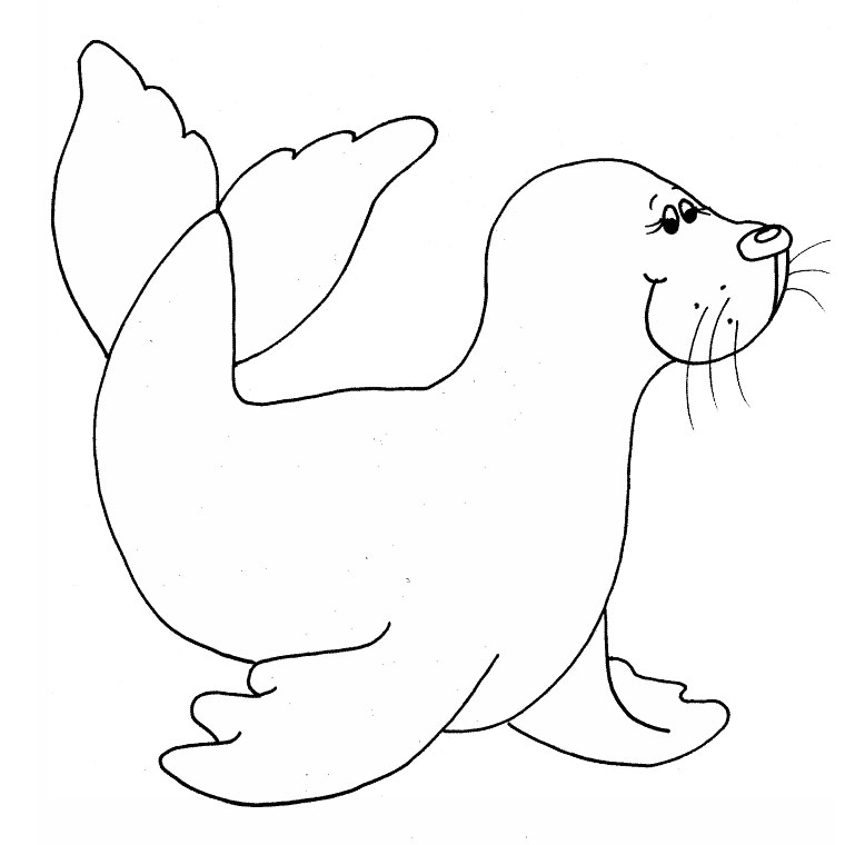 着色页: 海豹 (动物) #16263 - 免费可打印着色页