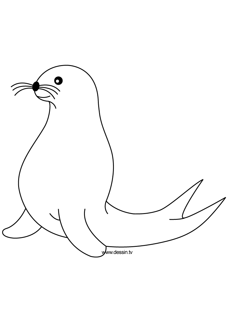 着色页: 海豹 (动物) #16267 - 免费可打印着色页