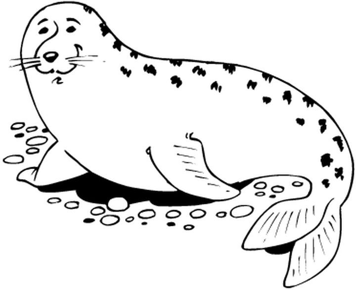 着色页: 海豹 (动物) #16279 - 免费可打印着色页