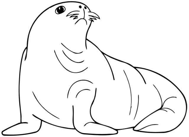 着色页: 海豹 (动物) #16290 - 免费可打印着色页