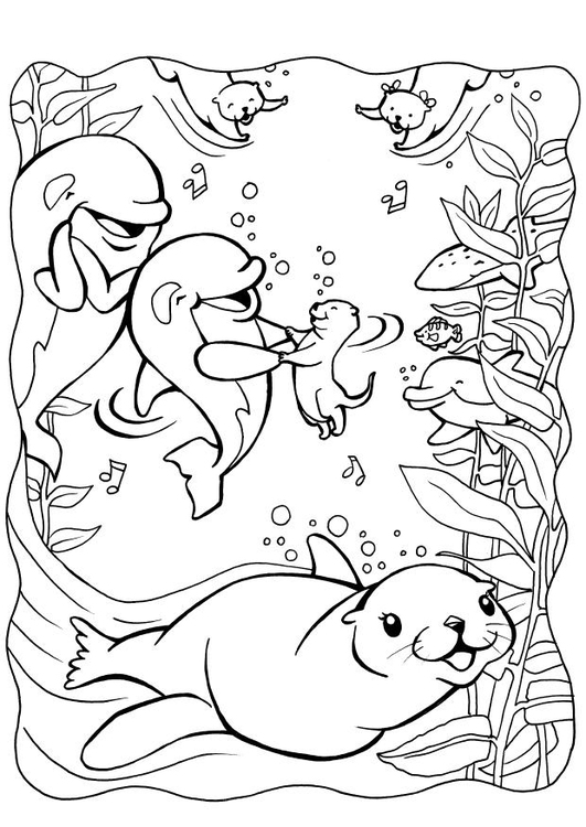 着色页: 海豹 (动物) #16318 - 免费可打印着色页