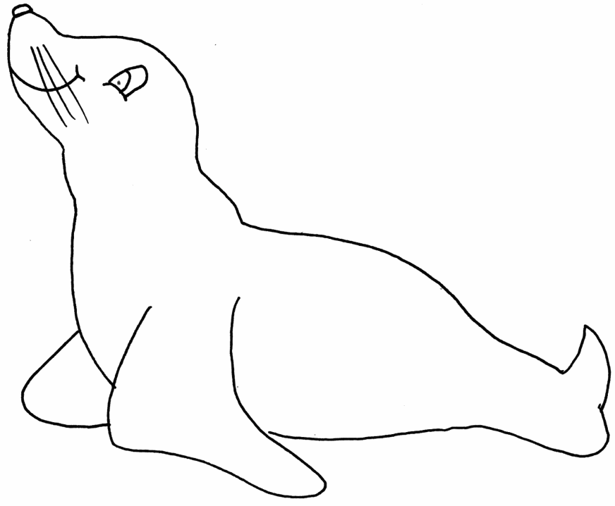 着色页: 海豹 (动物) #16336 - 免费可打印着色页