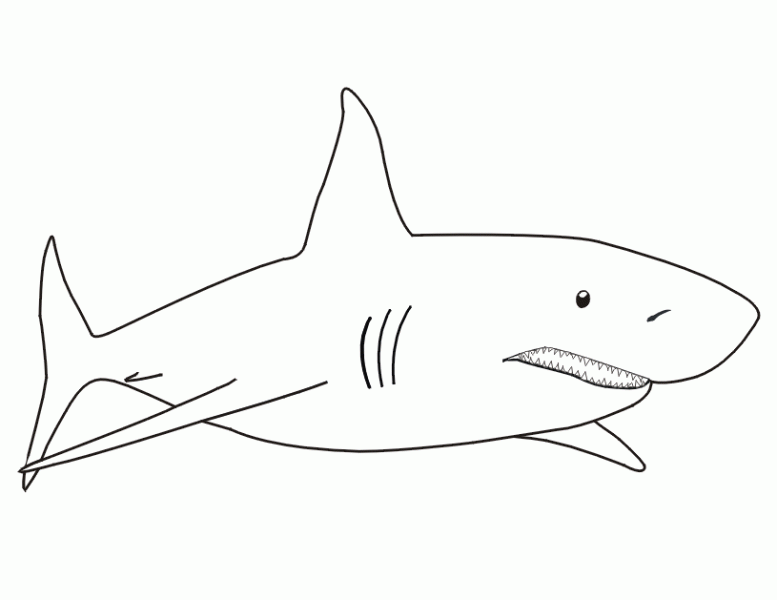 着色页: 鲨鱼 (动物) #14766 - 免费可打印着色页
