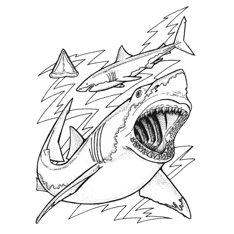 着色页: 鲨鱼 (动物) #14769 - 免费可打印着色页