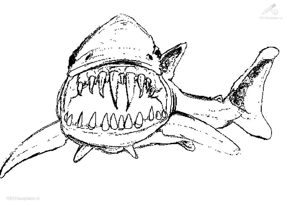 着色页: 鲨鱼 (动物) #14775 - 免费可打印着色页
