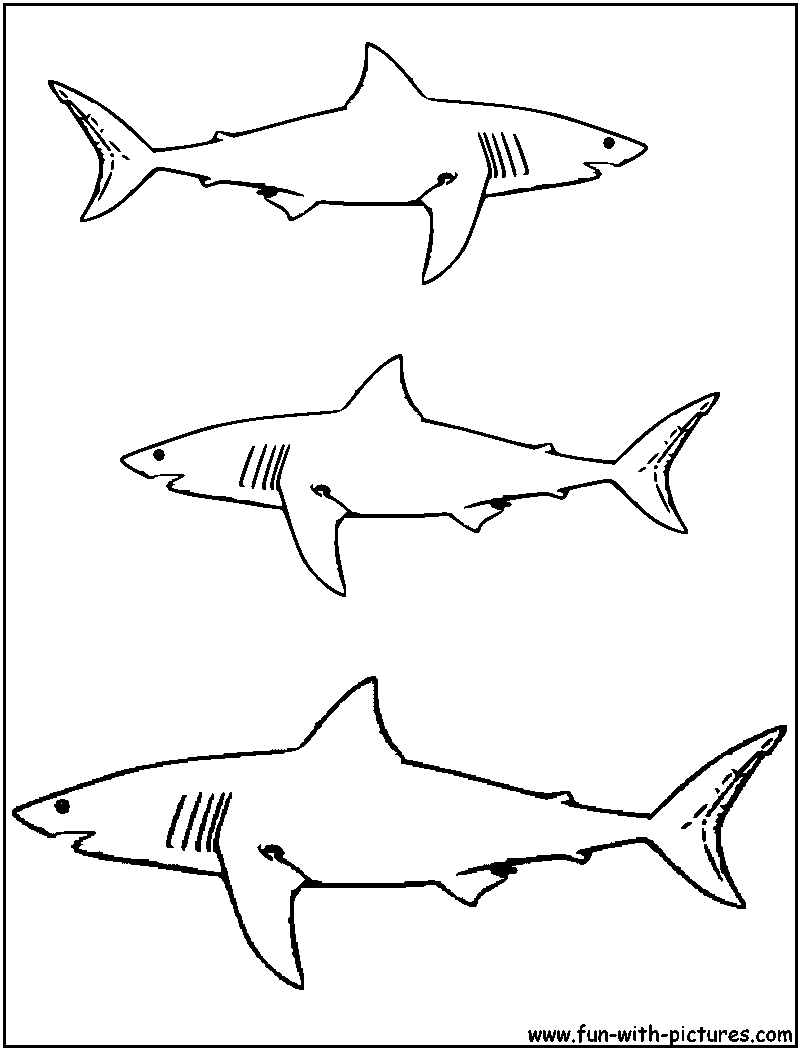 着色页: 鲨鱼 (动物) #14776 - 免费可打印着色页