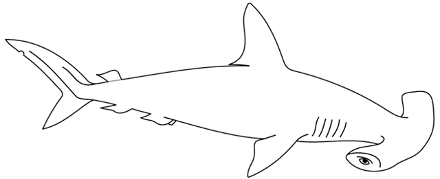 着色页: 鲨鱼 (动物) #14787 - 免费可打印着色页