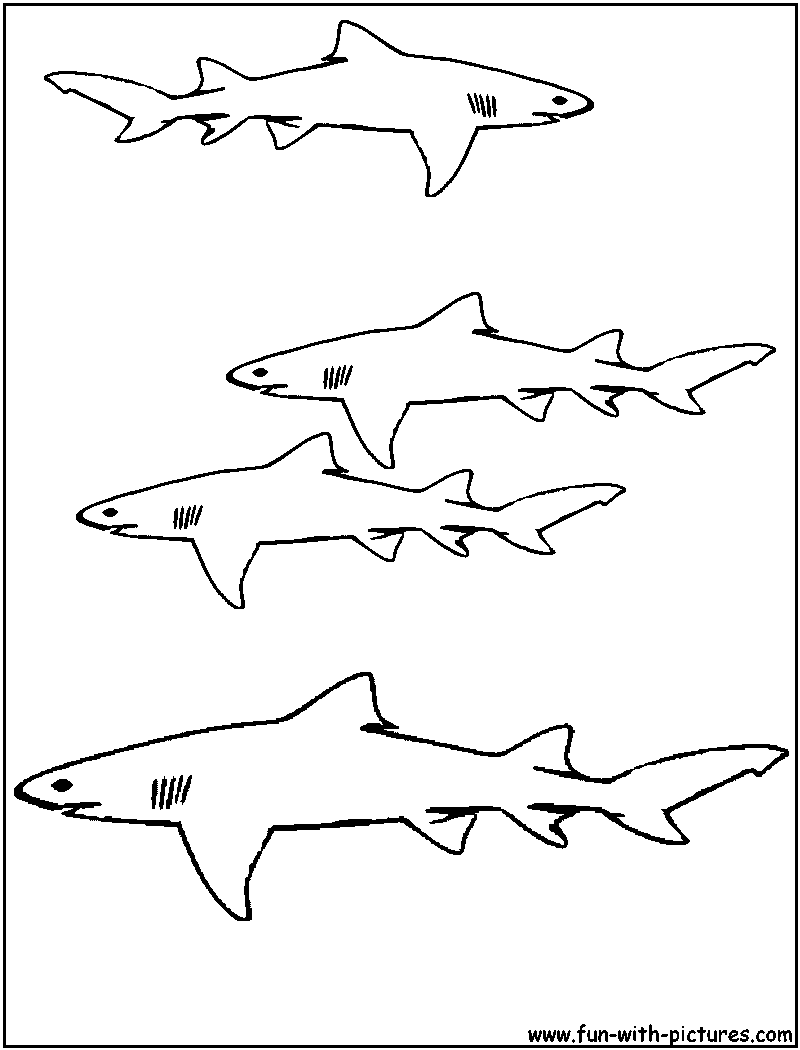 着色页: 鲨鱼 (动物) #14800 - 免费可打印着色页