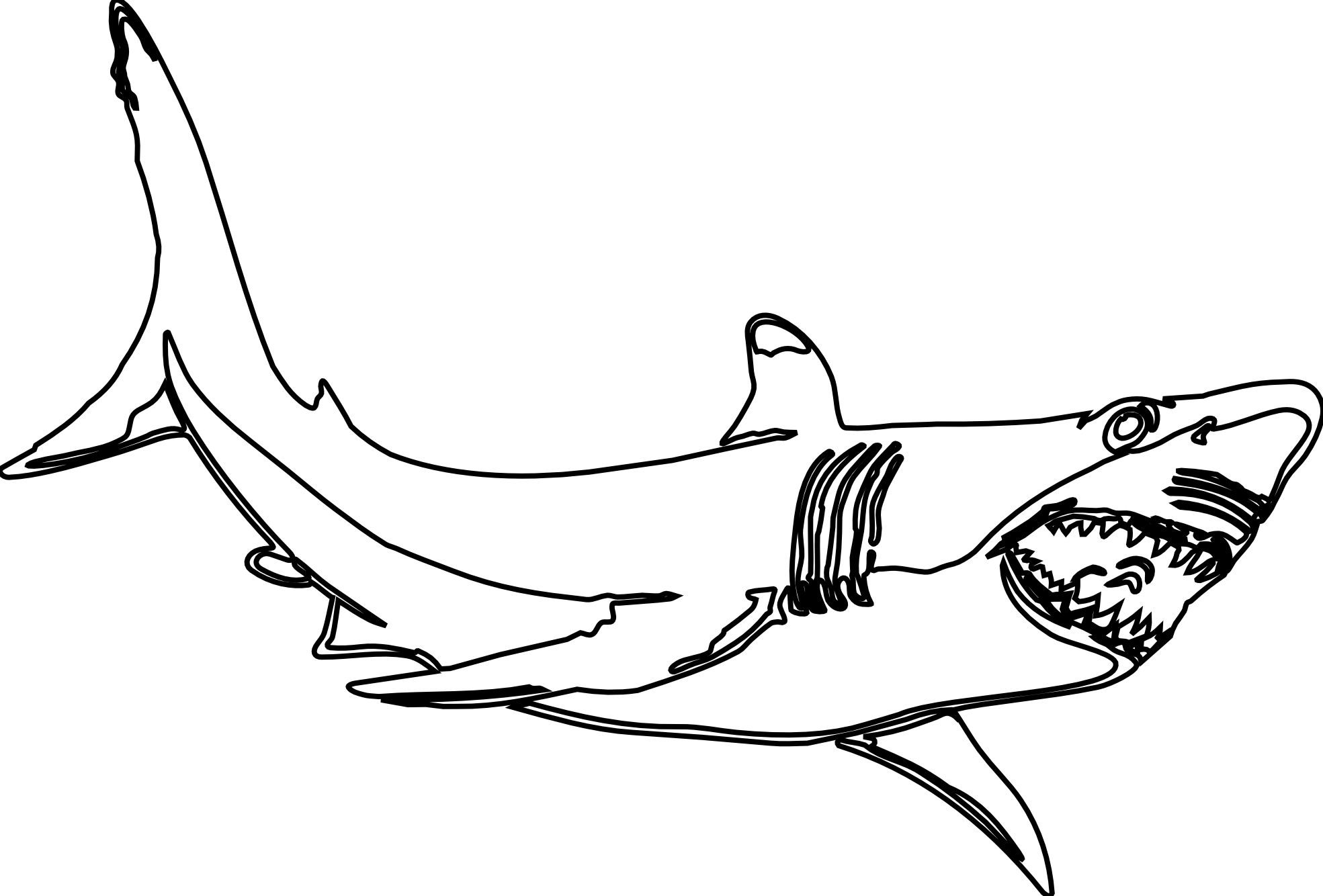着色页: 鲨鱼 (动物) #14837 - 免费可打印着色页