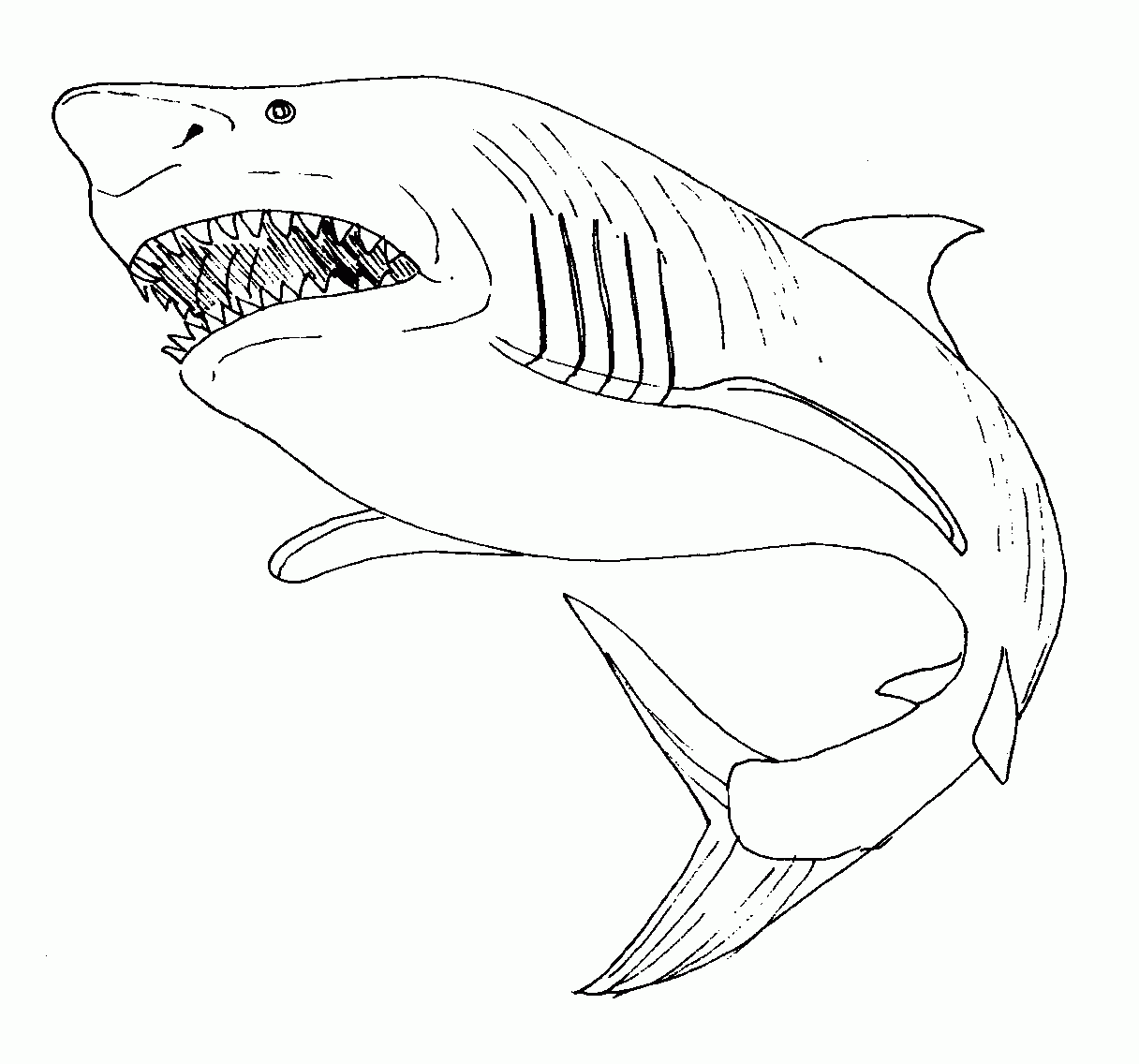 着色页: 鲨鱼 (动物) #14843 - 免费可打印着色页
