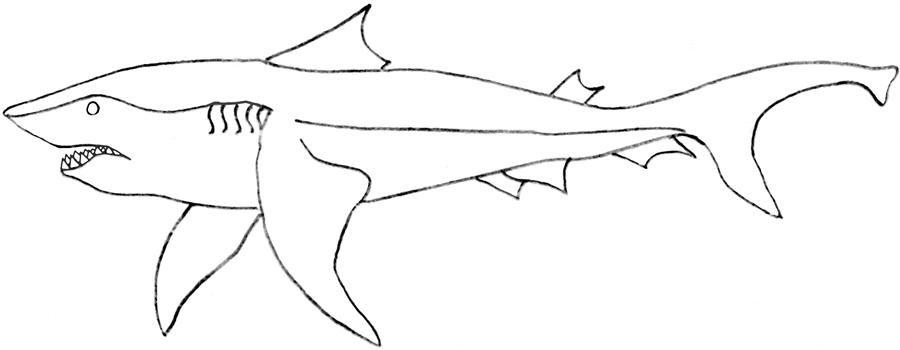 着色页: 鲨鱼 (动物) #14860 - 免费可打印着色页