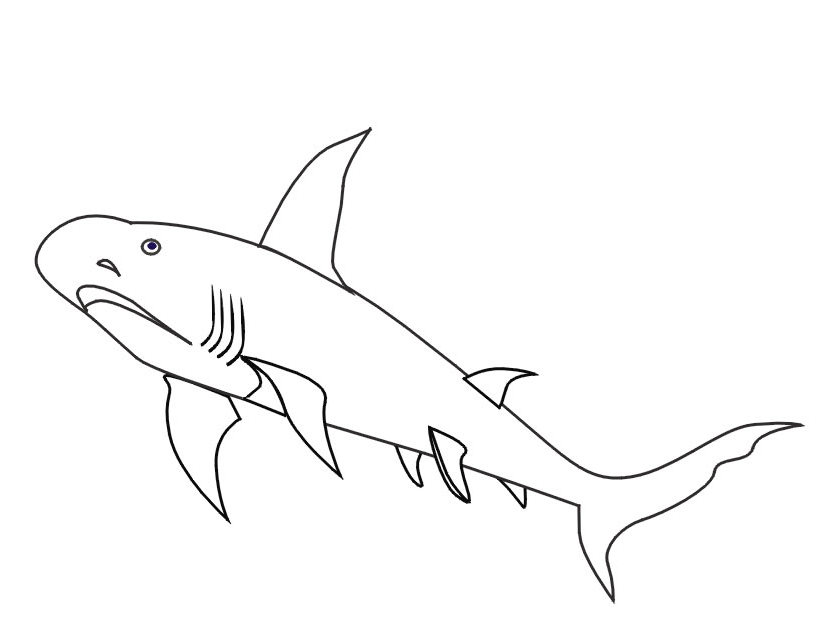 着色页: 鲨鱼 (动物) #14882 - 免费可打印着色页