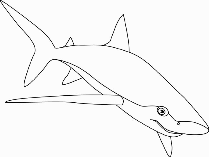 着色页: 鲨鱼 (动物) #14917 - 免费可打印着色页