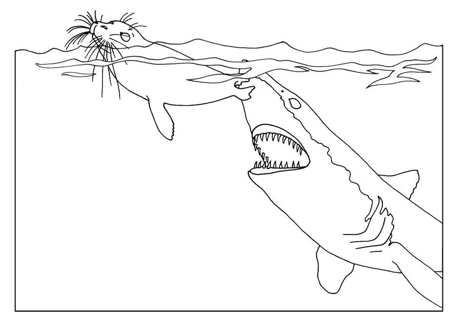 着色页: 鲨鱼 (动物) #14951 - 免费可打印着色页