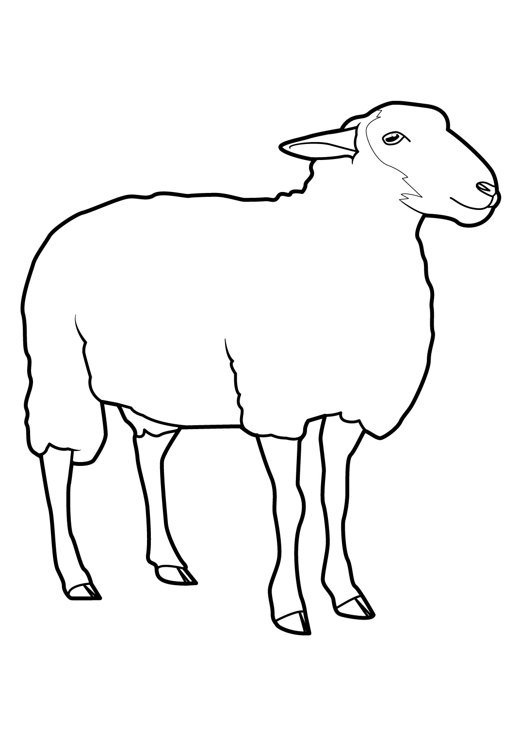 着色页: 羊 (动物) #11390 - 免费可打印着色页