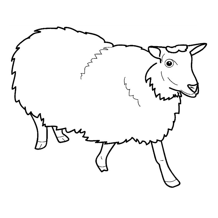 着色页: 羊 (动物) #11396 - 免费可打印着色页