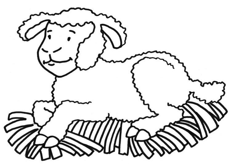 着色页: 羊 (动物) #11405 - 免费可打印着色页