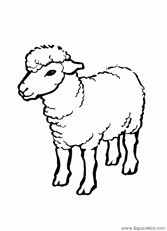 着色页: 羊 (动物) #11409 - 免费可打印着色页