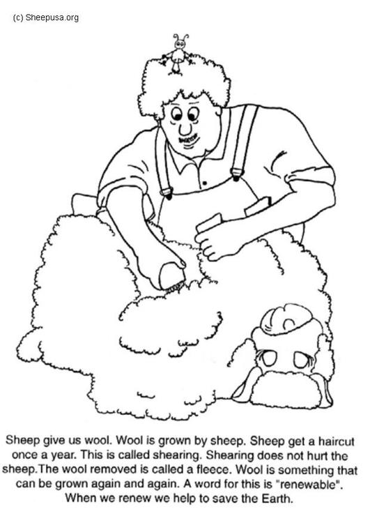着色页: 羊 (动物) #11411 - 免费可打印着色页