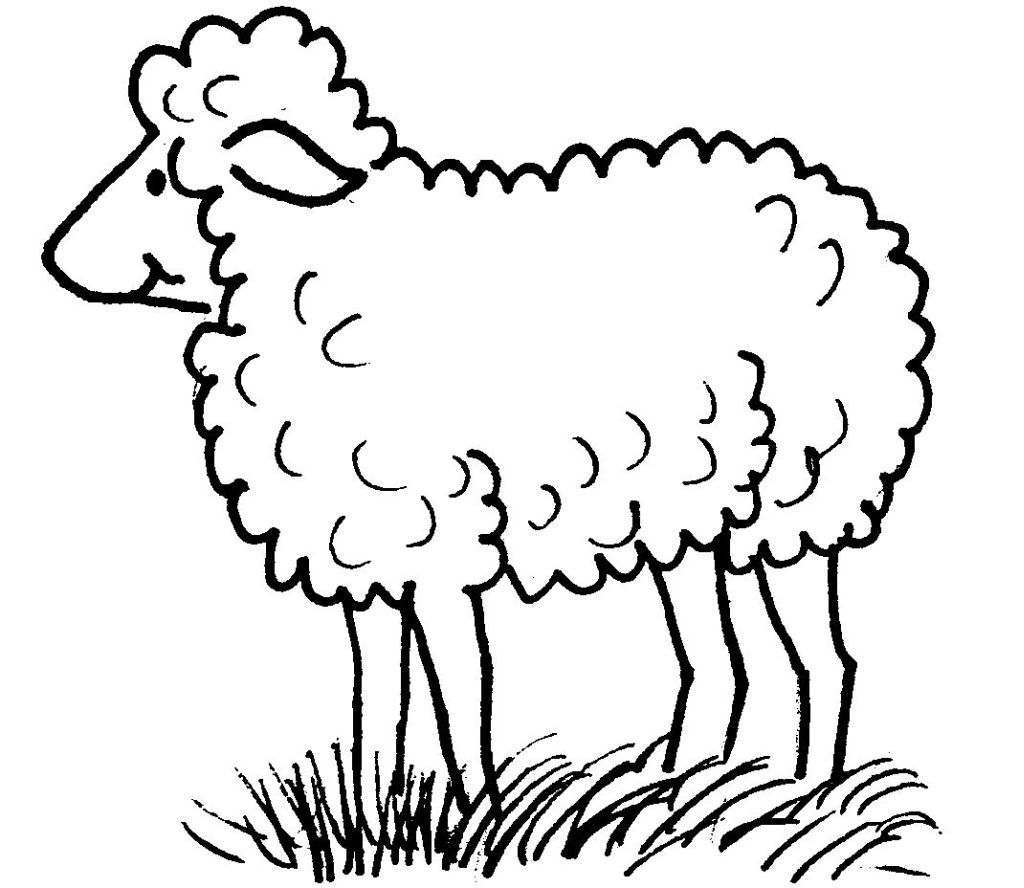 着色页: 羊 (动物) #11412 - 免费可打印着色页