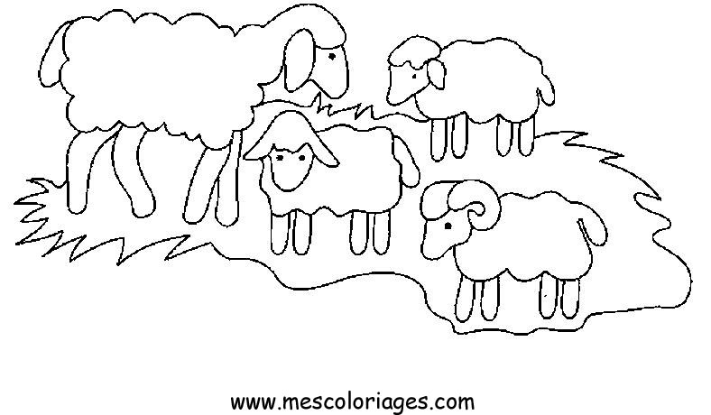 着色页: 羊 (动物) #11414 - 免费可打印着色页