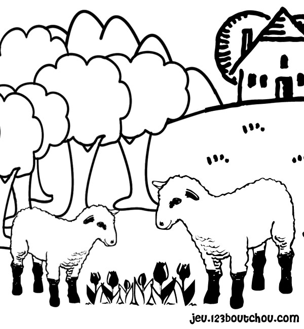 着色页: 羊 (动物) #11416 - 免费可打印着色页
