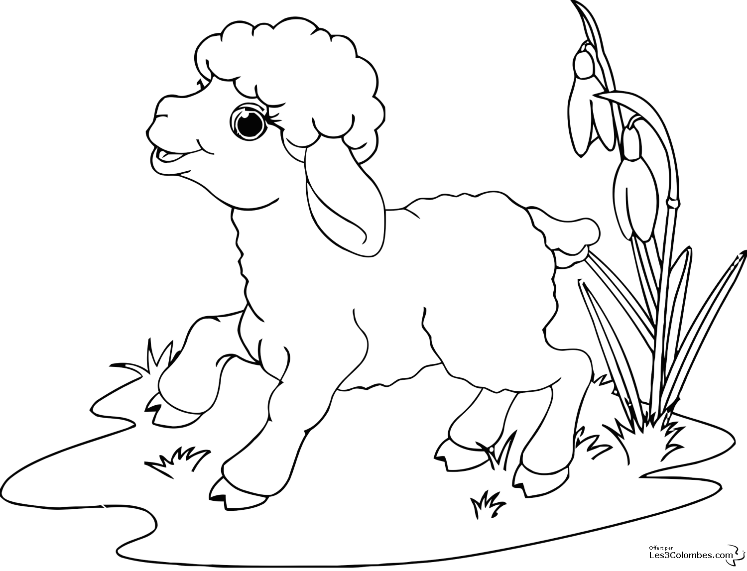 着色页: 羊 (动物) #11422 - 免费可打印着色页