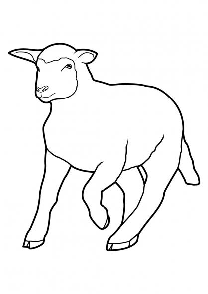 着色页: 羊 (动物) #11428 - 免费可打印着色页
