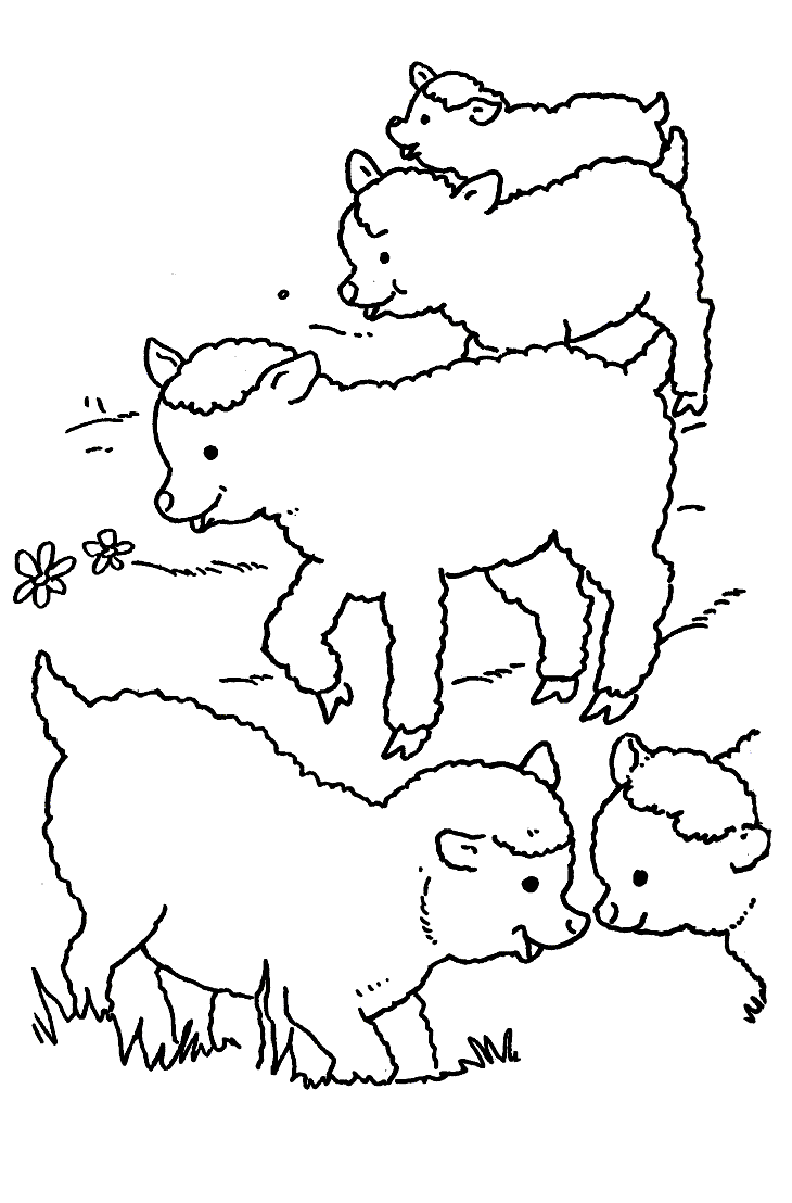 着色页: 羊 (动物) #11431 - 免费可打印着色页