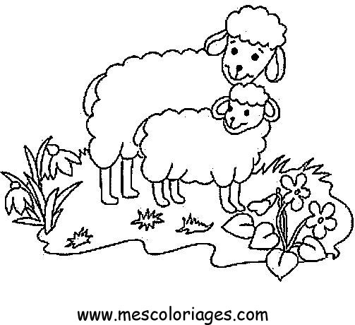 着色页: 羊 (动物) #11436 - 免费可打印着色页