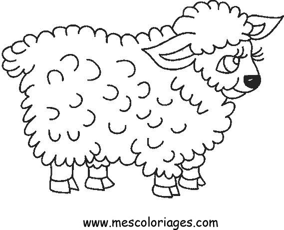 着色页: 羊 (动物) #11438 - 免费可打印着色页