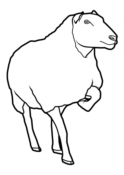 着色页: 羊 (动物) #11460 - 免费可打印着色页