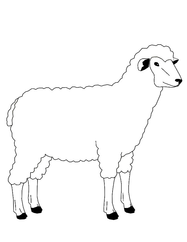 着色页: 羊 (动物) #11471 - 免费可打印着色页