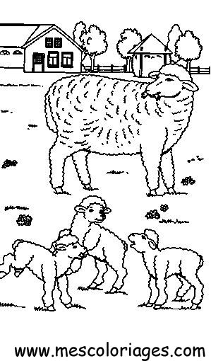 着色页: 羊 (动物) #11474 - 免费可打印着色页