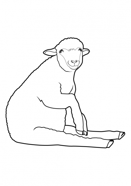 着色页: 羊 (动物) #11492 - 免费可打印着色页