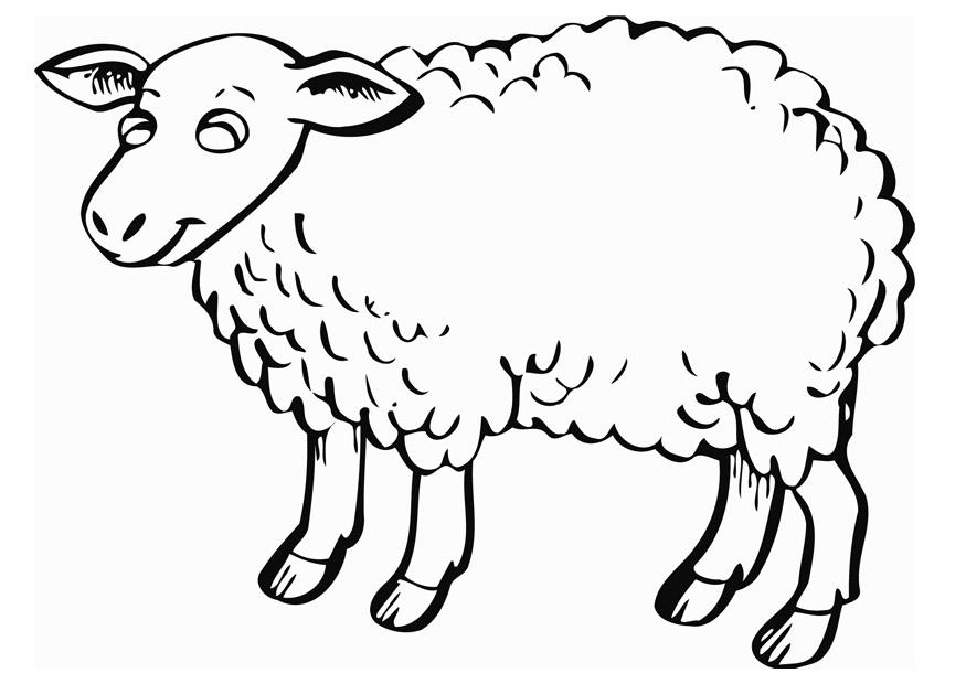 着色页: 羊 (动物) #11503 - 免费可打印着色页