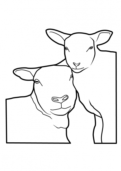 着色页: 羊 (动物) #11514 - 免费可打印着色页